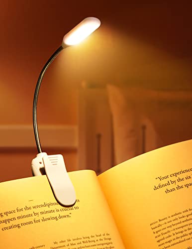 Best Light Temp to Read Books